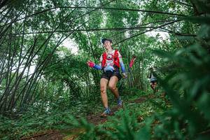 BIB: 
                            <button type="button" onclick="openModal(25115247)" class="btn btn-primary btn-sm float-right btn-popup" data-toggle="modal" data-target=".modal-high-quality">
                        <i class="fas fa-shopping-cart"></i> Add to Cart
                    </button>
                                            <button type="button" onclick="isThisMe(25115247, true)" class="btn btn-success btn-sm float-right btn-popup btn-isme hidden" data-toggle="tooltip" data-placement="bottom" title="นี่คือรูปของคุณใช่ไหม คลิกที่นี่เพื่อเอาเข้าอัลบั้ม">
                        <i class="fas fa-plus"></i> Add to album
                    </button>
                    <button type="button" onclick="isThisMe(25115247, false)" class="btn btn-warning btn-sm float-right btn-popup btn-isnotme hidden">
                        <i class="fas fa-ban"></i> Remove from album
                    </button>